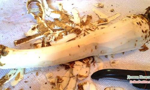 Horseradish for the winter or horseradish - recipes with photos