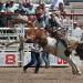 Modern rodeo What are bull riders called