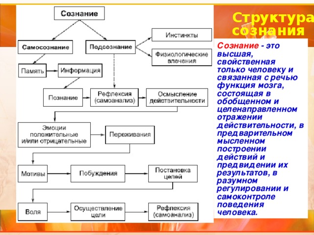 Структура сознания презентация